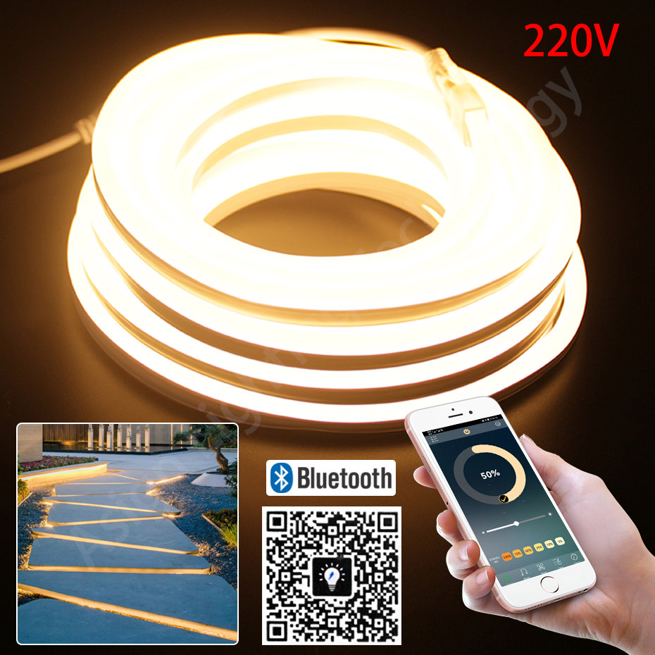 Outdoor Lighting Timer Switch - Bande néon LED 220V 2835 120