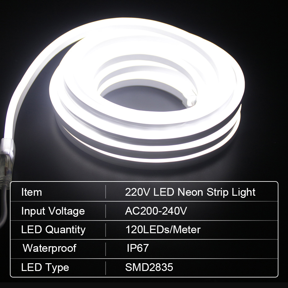 Bande néon LED 220V 2835 120 L - Outdoor Lighting Timer Switch avis et prix